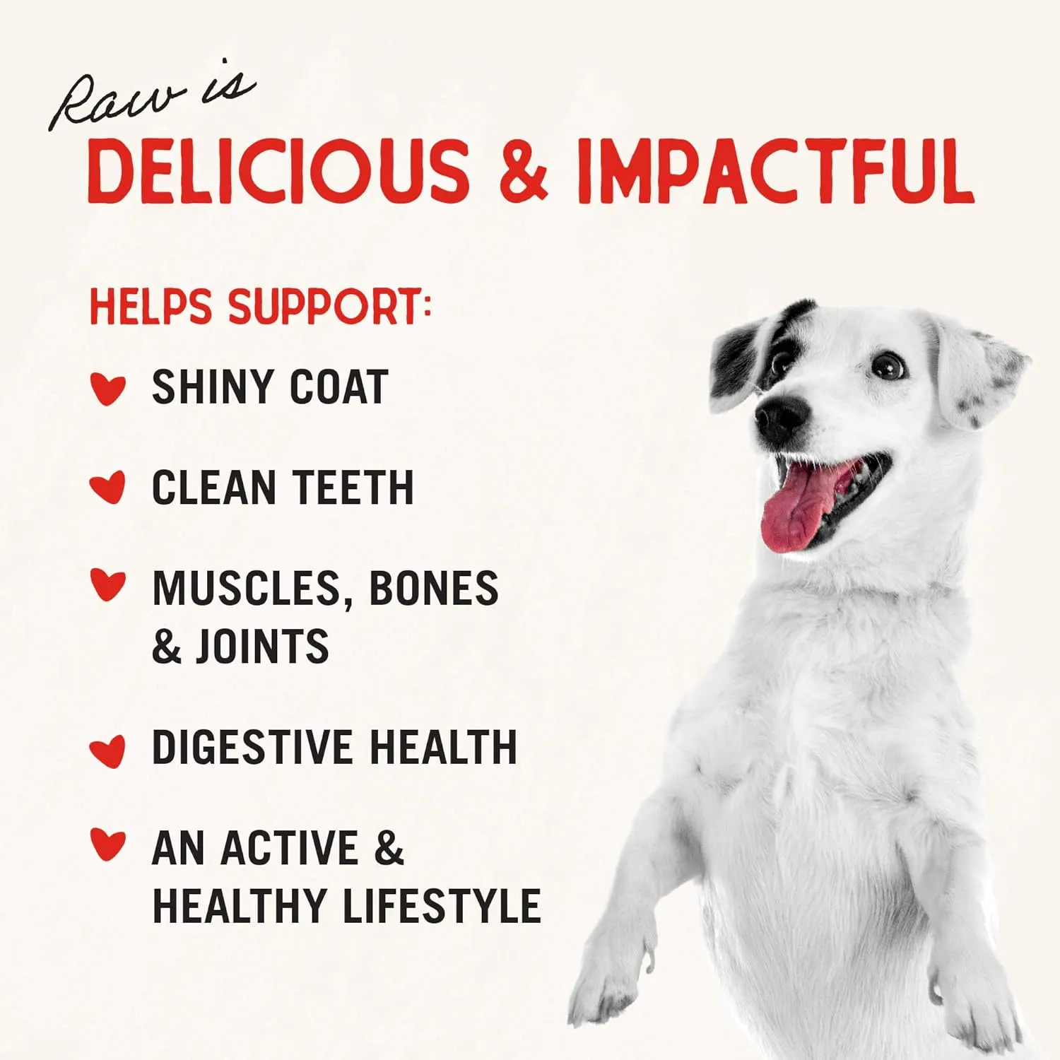 Stella & Chewy's Freeze-Dried Raw Dinner Patties - Surf 'N Turf Salmon & Beef Recipe - High Protein Grain-Free Puppy & Dog Food - Perfect For Picky Eaters - 14 oz