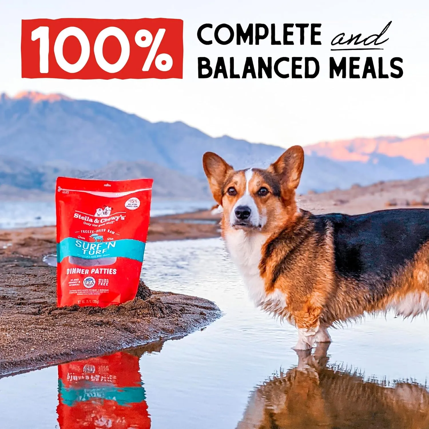 Stella & Chewy's Freeze-Dried Raw Dinner Patties - Surf 'N Turf Salmon & Beef Recipe - High Protein Grain-Free Puppy & Dog Food - Perfect For Picky Eaters - 14 oz