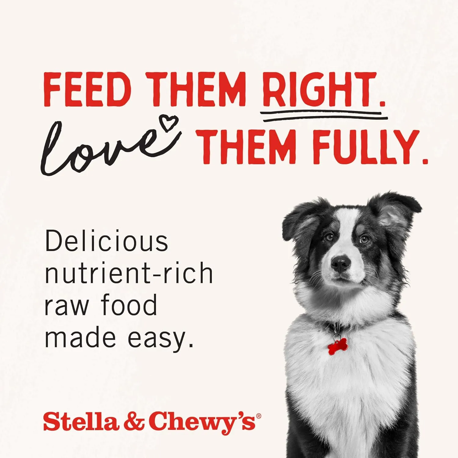 Stella & Chewy's Freeze-Dried Raw Dinner Patties - Surf 'N Turf Salmon & Beef Recipe - High Protein Grain-Free Puppy & Dog Food - Perfect For Picky Eaters - 14 oz