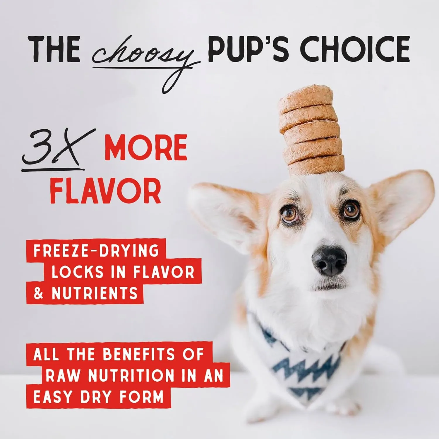 Stella & Chewy's Freeze-Dried Raw Dinner Patties - Surf 'N Turf Salmon & Beef Recipe - High Protein Grain-Free Puppy & Dog Food - Perfect For Picky Eaters - 14 oz