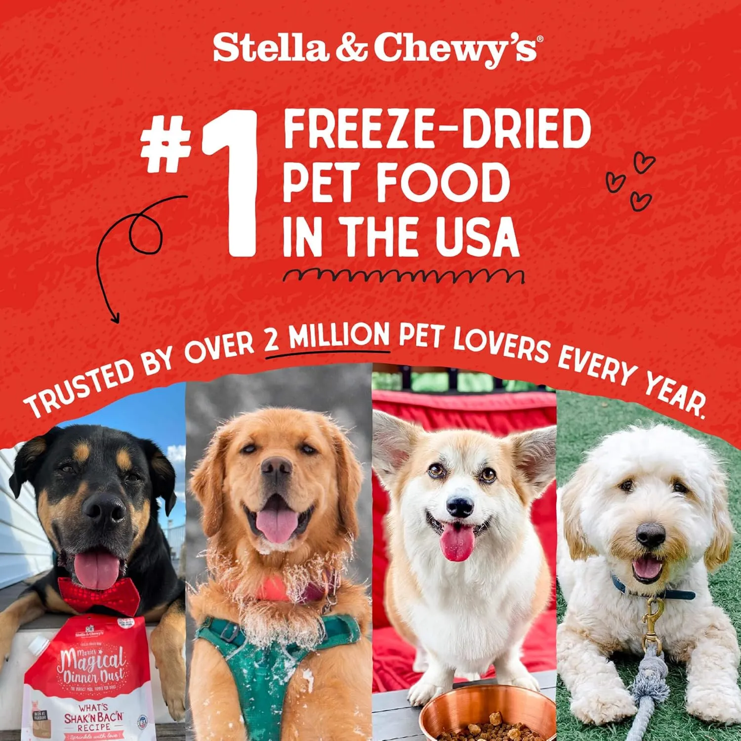 Stella & Chewy's Freeze-Dried Raw Dinner Patties - Surf 'N Turf Salmon & Beef Recipe - High Protein Grain-Free Puppy & Dog Food - Perfect For Picky Eaters - 14 oz