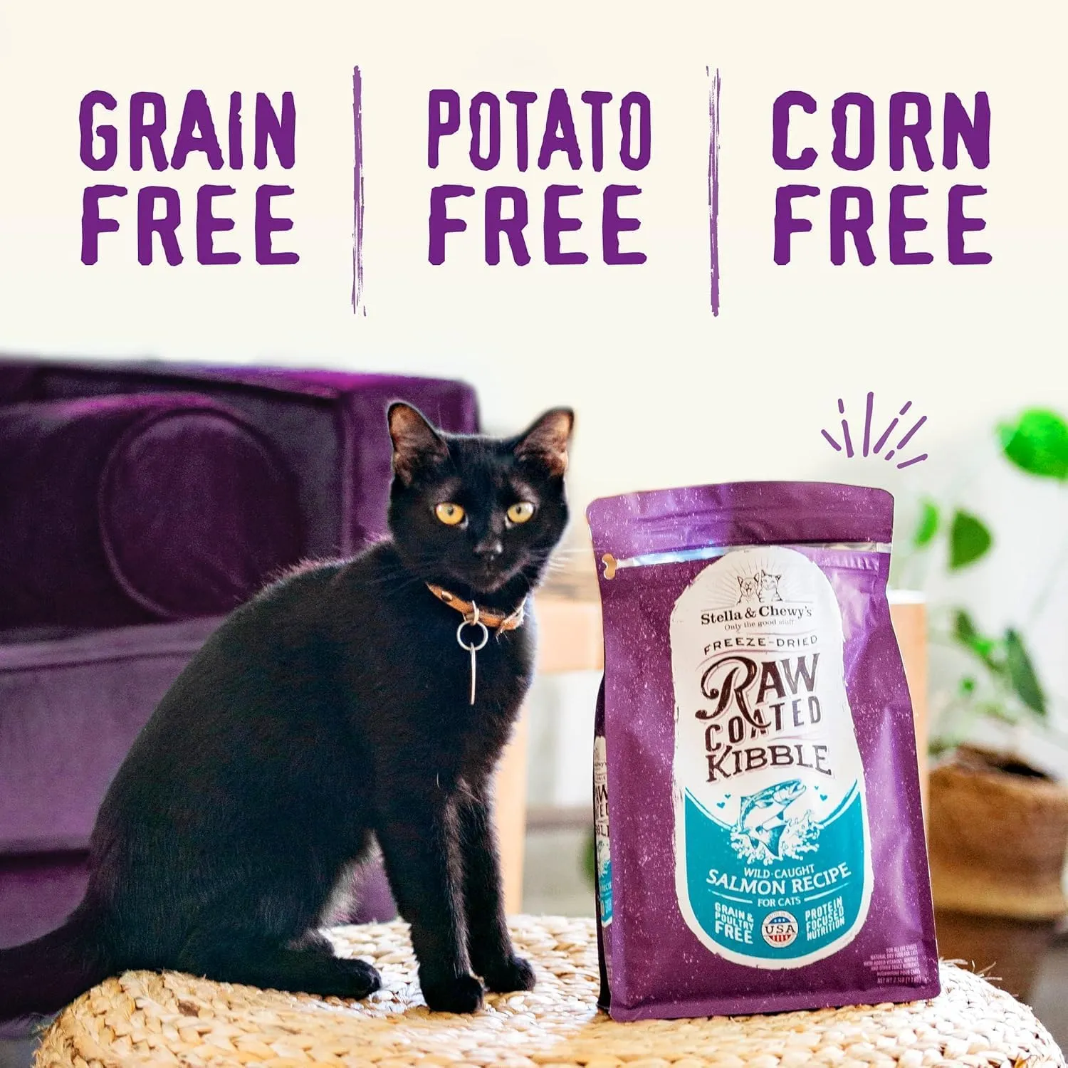 Stella & Chewy's Raw Coated Premium Kibble Cat Food  Grain Free, Protein Rich Meals  Cage-Free Chicken Recipe  2.5 lb. Bag