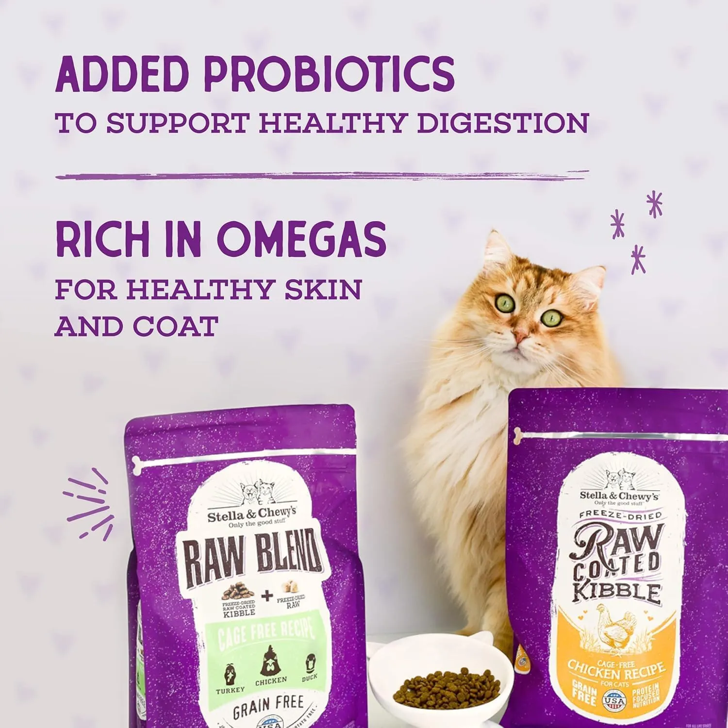 Stella & Chewy's Raw Coated Premium Kibble Cat Food  Grain Free, Protein Rich Meals  Cage-Free Chicken Recipe  2.5 lb. Bag
