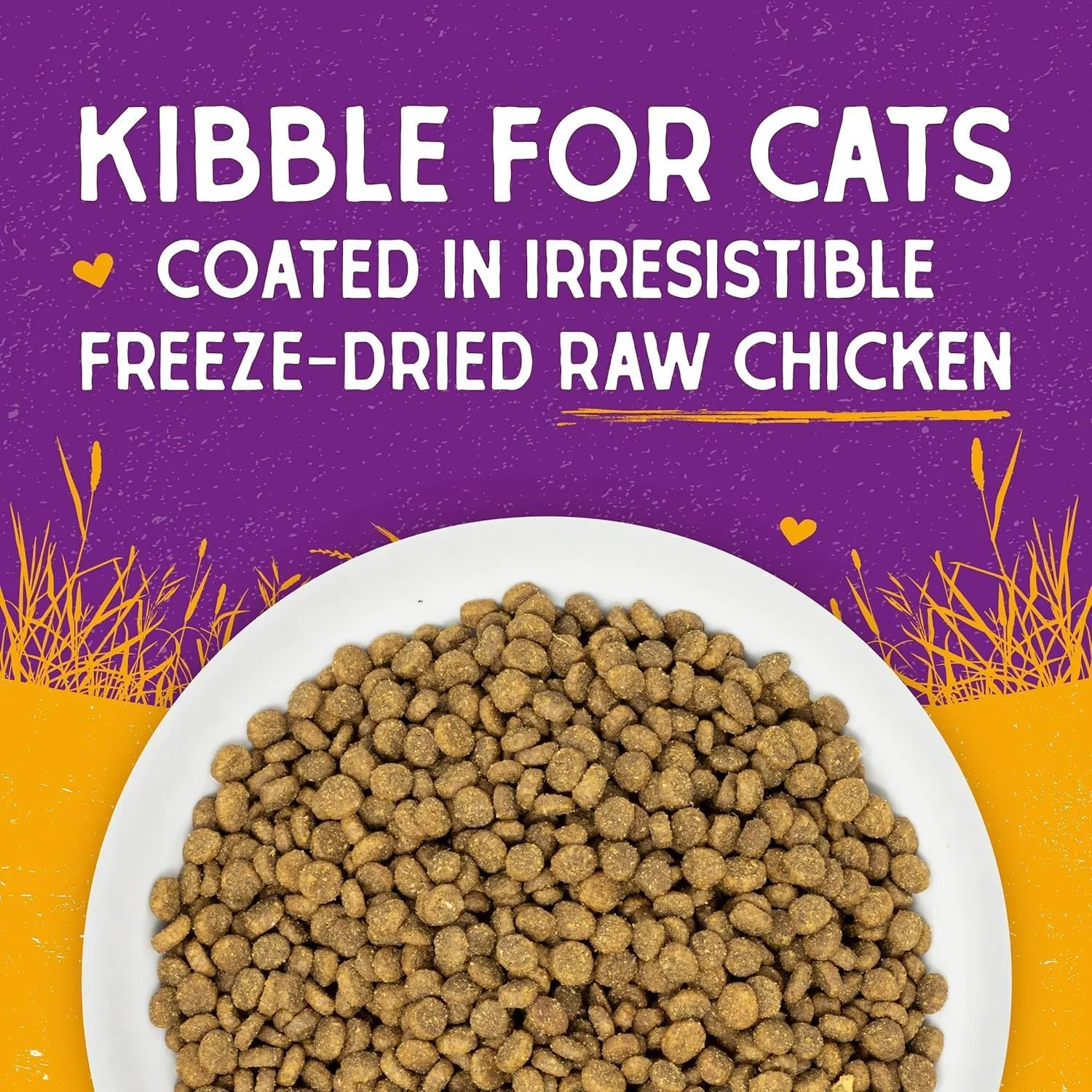 Stella & Chewy's Raw Coated Premium Kibble Cat Food  Grain Free, Protein Rich Meals  Cage-Free Chicken Recipe  2.5 lb. Bag