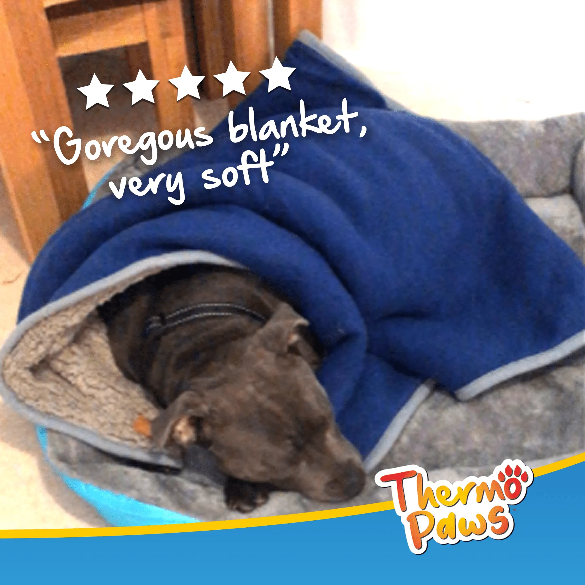 Super Soft Pet Blanket (Blue) - Pawpride