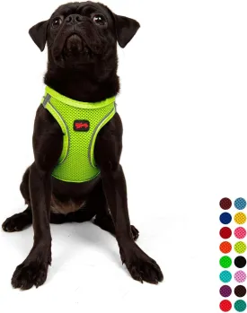 Tailpetz Dog Harness with Breathable Mesh, Reflective, Step-in, No Pull Dog Vest Harness for Small and Medium Dogs and Cats, Neon Lime, M