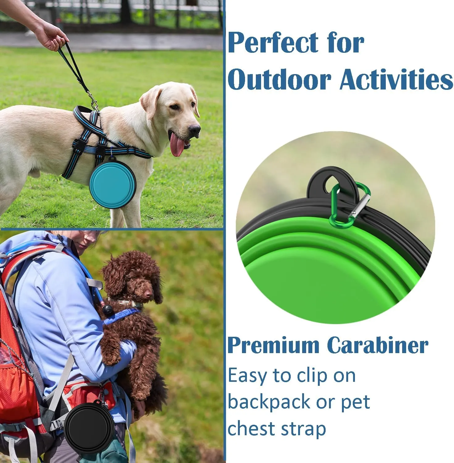 Takfox Collapsible Dog Bowls [2 Pack] 20 oz, Travel Dog Bowls, Pet Bowl Portable Foldable Water Food Feeding Dishes with Carabiner Clip for Traveling Hiking Walking-Green & Blue