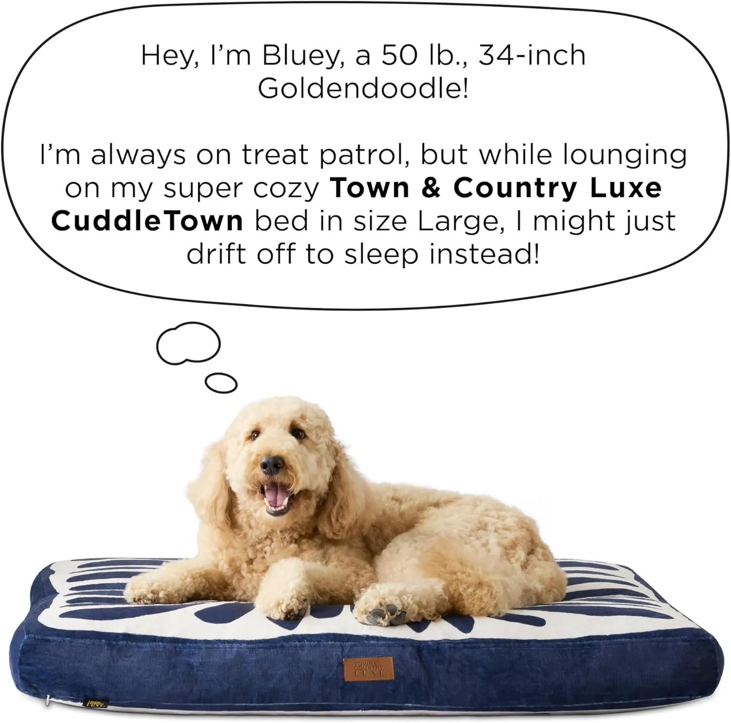 TOWN & COUNTRY LUXE CuddleTown Matisse Everwash Pillow Pet Bed, Water Repellent Floor Pillow, Machine Washable Cover, Soft & Calming, Taupe, Large 44"x34"x4"