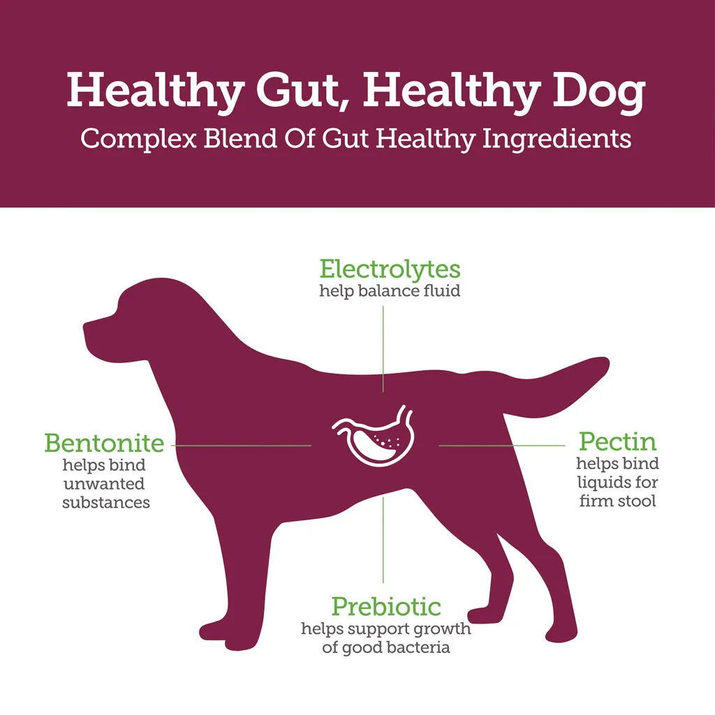 Vetality Stop the Runs Chewables for Dogs, 6 count